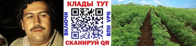 Купить Бошки Шишки  Галлюциногенные грибы  APVP  ГАШИШ  COCAIN  МЕФ  Озёры