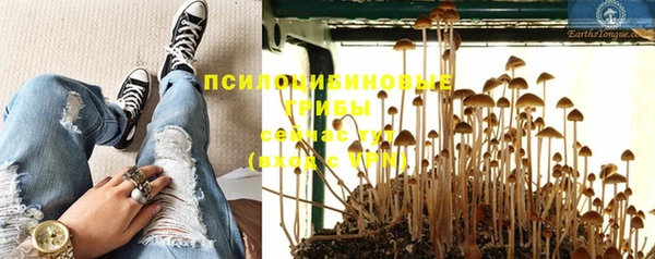 apvp Елизово