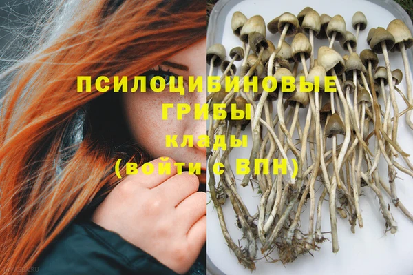 apvp Елизово