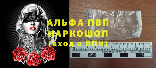 мяу мяу мука Елабуга