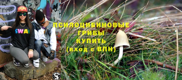 apvp Елизово